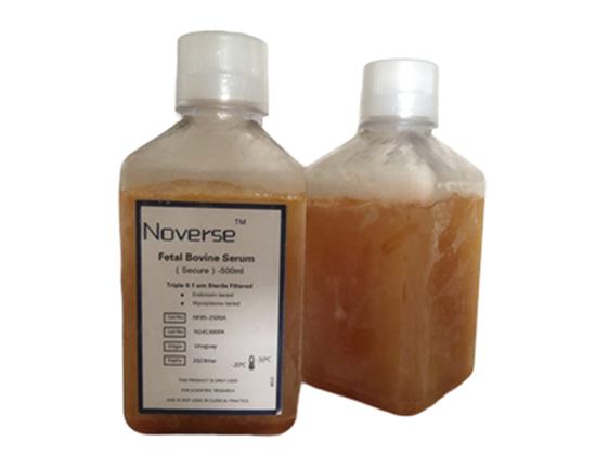 1Gibco澳洲胎牛血清價(jià)格大概多少 1Gibco澳洲胎牛血清價(jià)格大概多少