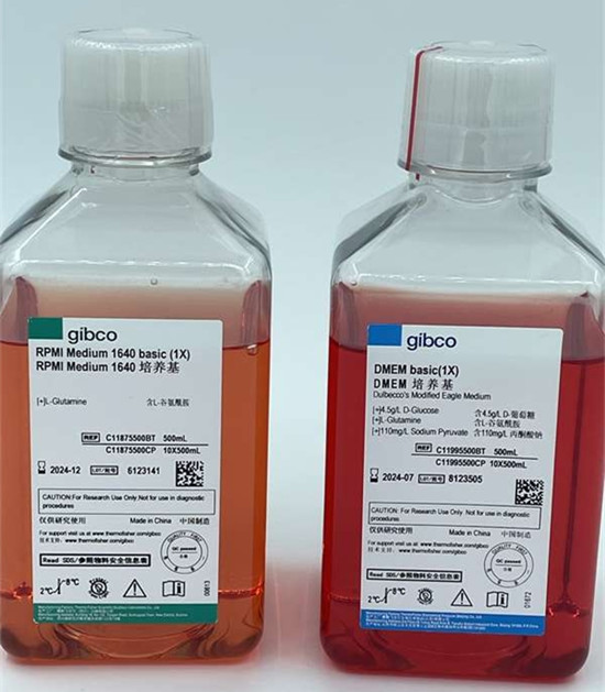 Gibco澳洲胎牛血清在細胞培養中的作用 Gibco澳洲胎牛血清在細胞培養中的作用