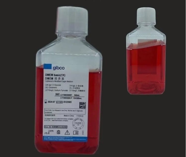 1732592307253020.jpg 培養基1.jpg